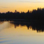 cropped-006.jpg